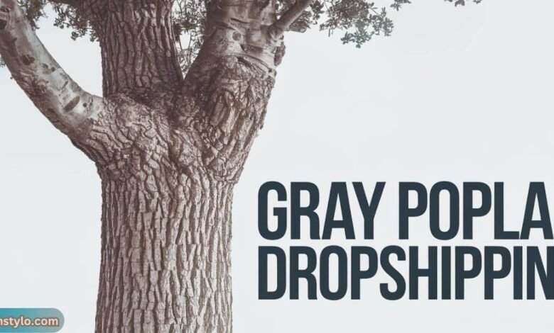 gray poplar dropshipping